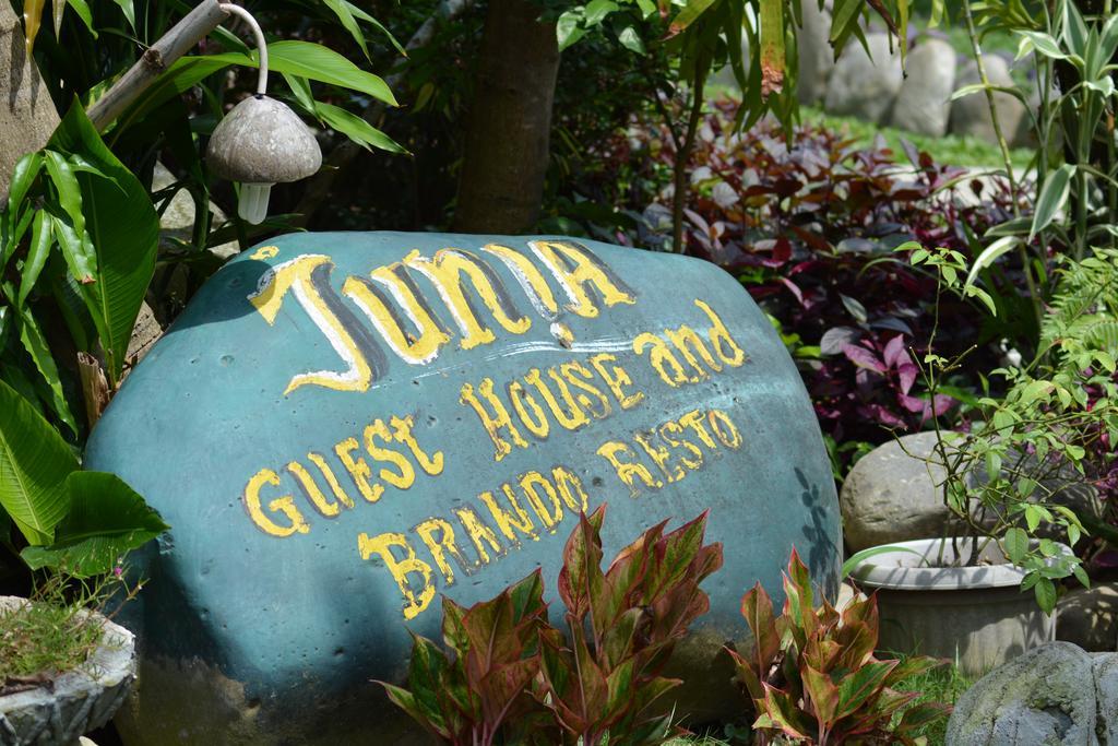 Junia Guesthouse Bukit Lawang Eksteriør billede